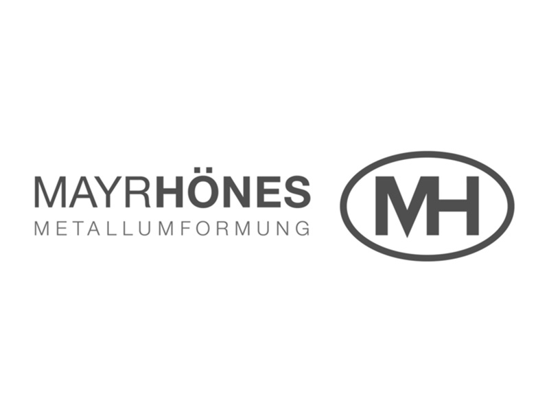 Mayrhönes Logo Teldanet GmbH: Mayrhönes Logo