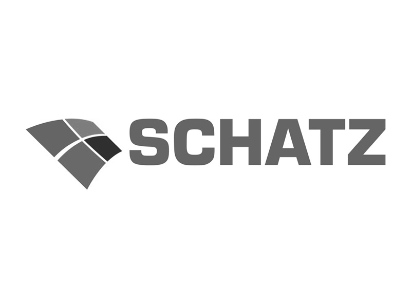 Schatz Logo Teldanet GmbH: Schatz Logo